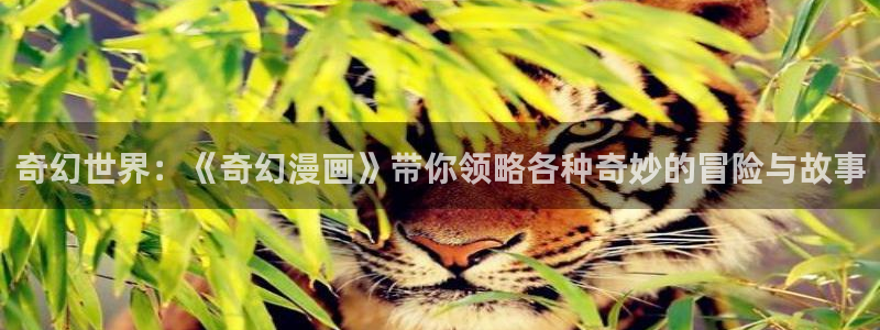 我看的韩国漫画